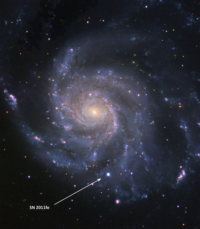 The Palomar Transient Factory caught SN 2011fe in the Pinwheel Galaxy in the vicinity of the Big Dipper on 24 August, 2011. Found just hours after it exploded and only 21 million light years away, the discovery triggered the closest-ever look at a young Type Ia supernova. (Image by B. J. Fulton, Las Cumbres Observatory Global Telescope Network) 