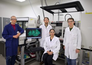 From left, Andy DeGiovanni, Paul Adams, Pamela Peralta-Yahya and  Ryan McAndrew were members of the JBEI team that determined the 3D structure of a protein that is critical to the microbial-based production of bisabolane biofuel. (Photo by Roy Kaltschmidt, Berkeley Lab)