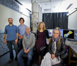 From left Gabriel Lander, Eric Estrin, Andreas Martin, Mary Matyskiela and Eva Nogales were members of the team that uncovered valuable new information about a protein complex that is critical to the quality control of cellular proteins, as well as a broad range of vital biochemical processes. (Photo by Roy Kaltschmidt, Berkeley Lab)