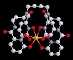 This octadentate HOPO is a sequestering agent that can encapsulate actinides, such as this plutonium atom (gold), into tightly bound cage-like complexes for excretion out of the body. (image by Zosia Rostomian, Berkeley Lab)