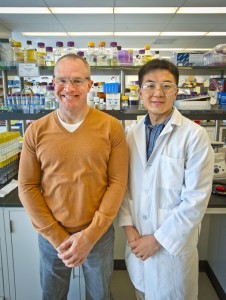 Jay Keasling and Fuzhong Zhang at the Joint BioEnergy Institute (JBEI) obtained a threefold increase in the microbial production of biodiesel from glucose using a dynamic sensor-regulator system they and JBEI’s James Carothers developed. (Photo by Roy Kaltschmidt, Berkeley Lab)
