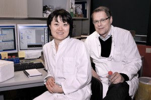 Jiyoung Kim and Ole Petersen at the University of Copenhagen were part of an international team that found that luminal-like cells with no detectable stem cell qualities can generate larger breast cancer tumors than their basal-like counterparts.