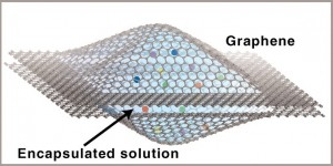 In the graphene liquid cell, opposing graphene sheets form a sealed liquid nanoscale reaction chamber that is transparent to an electron microscope beam. The cell allows nanocrystal growth, dynamics and coalescence to be captured in real time at atomic resolution via a transmission electron microscope. 