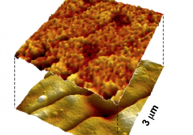 Berkeley Lab Scientists Generate Electricity From Viruses - Berkeley ...