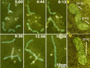 Sequential color TEM images showing the growth of Pt3Fe nanorods over time, displayed as minutes:seconds. Far right, twisty nanoparticle chains straighten and stretch into nanorods. (Images courtesy of Haimei Zheng)