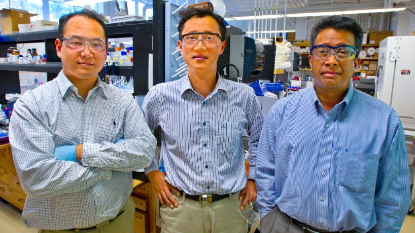 From left, Byung-Yang Lee, Seung-Wuk Lee, and Ramamoorthy Ramesh
