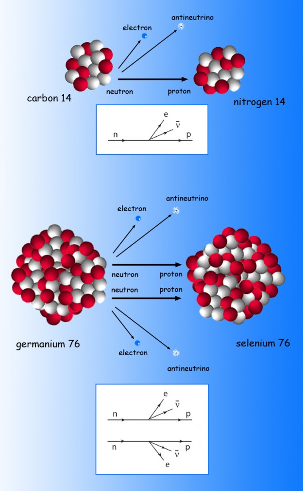 MAJORANA, the Search for the Most Elusive Neutrino of All - Berkeley ...