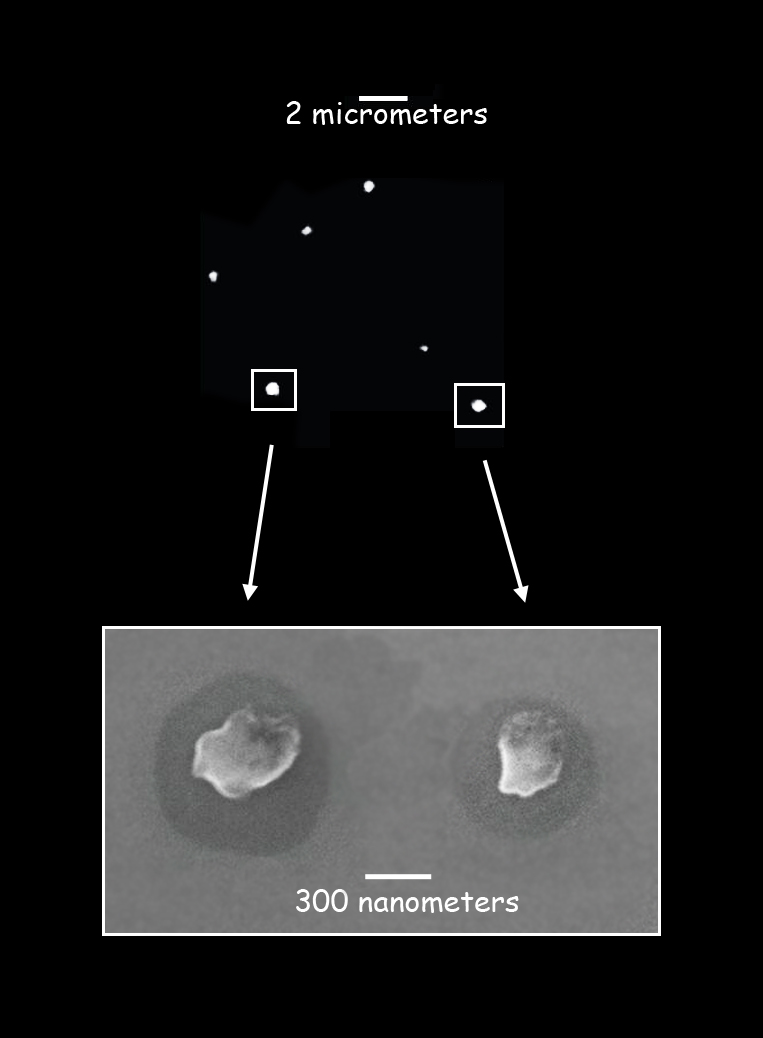 STXM shows a bright potassium signal from small aerosol samples collected in the morning, with salt cores and organic coatings. Scanning electron microscope images show the two particles at the bottom of the frame. Scale bars are measured in micrometers, millionths of a meter, and nanometers, billionths of a meter. (Advanced Light Source, Lawrence Berkeley National Laboratory, and Max Planck Institute for Chemistry)   