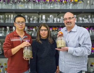 (From left) JBEI’s Jian Shi, Seema Singh and Blake Simmons successfully used an ionic liquid to pre-treat mixed blends of  biofuel feedstocks, a key to future commercialization. (Photo by Roy Kaltschmidt, Berkeley Lab)