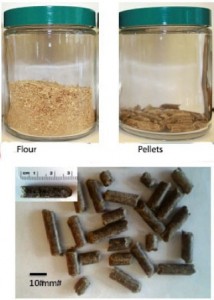 JBEI and INL researchers densified the energy content of a mixed blend of biofuels feedstocks by milling the mixture into flour or pellets. Energy densification makes the feedstocks easier and less expensive to transport. 