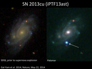 A star in a distant galaxy explodes as a supernova: while observing a galaxy known as UGC 9379 (left; image from the Sloan Digital Sky Survey; SDSS) located about 360 million light years away from Earth, the team discovered a new source of bright blue light (right, marked with an arrow; image from the 60-inch robotic telescope at Palomar Observatory). This very hot, young supernova marked the explosive death of a massive star in that distant galaxy.