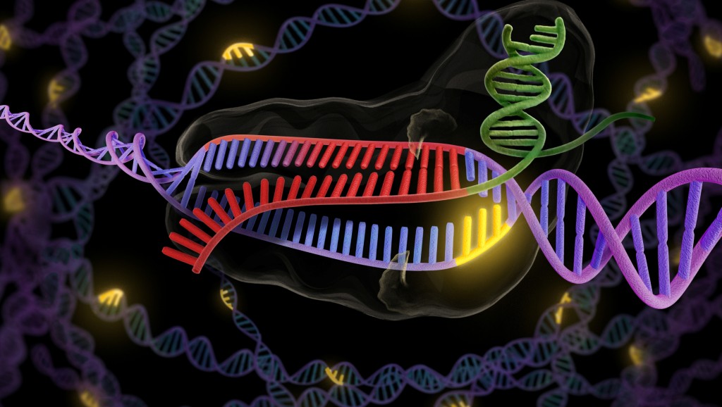 Berkeley Lab’s Jennifer Doudna Gives A CRISPR Interview On NPR ...