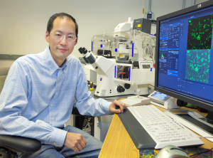 Chris Chang is a faculty chemist with Berkeley Lab and UC Berkeley, and an HHMI investigator. (Photo by Roy Kaltschmidt)