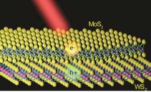 Illustration of a MoS2/WS2  heterostructure with a MoS2 monolayer lying on top of a WS2 monolayer. Electrons and holes created by light are shown to separate into different layers. (Image courtesy of Feng Wang group)