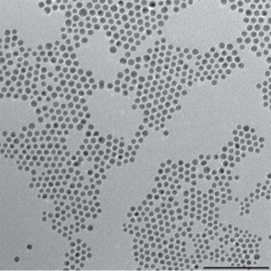 This TEM shows gold–copper bimetallic nanoparticles used as catalysts for the reduction of carbon dioxide, a key reaction for artificial photosynthesis. 