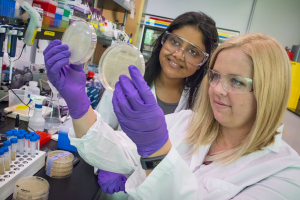 Aindrila Mukhopadhyay (left) and Heather Jensen were part of a JBEI team that identified microbial genes which can improve both the tolerance and the production of biogasoline in engineered strains of E. coli. (Photo by Roy Kaltschmidt)