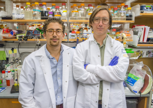 Benjamin Oakes and Mitch O'Connell are part of the collaboration led by Jennifer Doudna that showed how the CRISPR/Cas9 complex can serve as a programmable RNA editor. (Photo by Roy Kaltschmidt) 