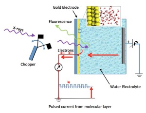 Schematic of the electrochemical cell – a silicon nitride (Si3N4) membrane separates the liquid from vacuum region of the x-ray source; a 20nm thin-film gold electrode is deposited on liquid side of the membrane. Detection of x-ray absorption is via fluorescence emission on the vacuum side or electron emission at the gold electrode. 