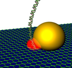 Schematic drawing of graphene nanopore with self-integrated optical antenna (gold) that enhances the optical readout signal (red) of DNA as it passes through a graphene nanopore. 
