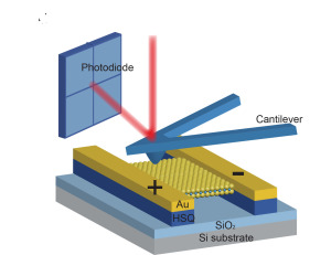 To measure in-plane piezoelectric stress, an MoS2 film was suspended on HSQ posts and clamped by two Au electrodes. When the film was indented with a scanning AFM probe, the induced stress changed the load on the cantilever, which was observed by the deflection of a laser beam. 
