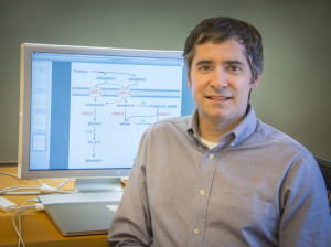 Jamie Cate led the discovery of new chemicals generated by fungi and bacteria that are used to digest xylose, one of the most abundant sugars in hemicellulose. (Photo by Roy Kaltschmidt)