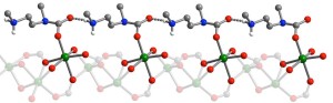 A portion of the ammonium carbamate chain formed along the pore surface of a MOF when CO2 molecules are inserted into metal-amine bonds. Green, gray, red, blue and white spheres represent Mn, C, O, N and H atoms respectively. 