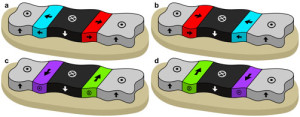 These schematics of magnetic domain walls in perpendicularly magnetized thin films show (a) left-handed and (b) right-handed Neel-type walls; and (c) left-handed and (d) right-handed Bloch-type walls. The directions of the arrows correspond to the magnetization direction.  