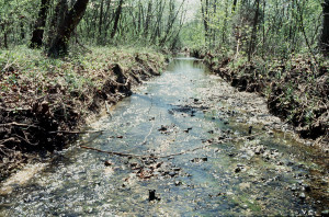 The Bear Creek watershed in Oak Ridge, TN, was a a crucial site for the early development of nuclear weapons under the Manhattan Project and harbors spectacular geochemical gradients. 