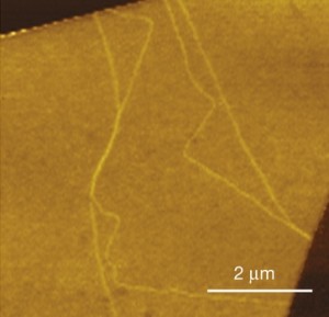 In this near-field infrared nanoscopy image of bilayer graphene, domain walls are revealed by bright lines that arise because of the walls’ local electronic structures and IR responses. 