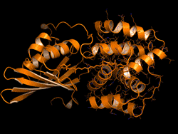 Translocation of the carotenoid pigment within a critical light-sensitive protein called the Orange Carotenoid Protein triggers a shifting of the protein from the light-absorbing orange state to the energy- quenching red state, providing cyanobacteria with protection from too much sunlight. 