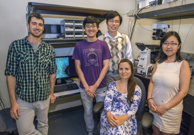 (from left) Samuel Kenny, Zhengyang Zhang, Ke Xu, Margaret Hauser, and Wan Li have invented a new technology to image single molecules with unprecedented spectral and spatial resolution (Roy Kaltschmidt/Berkeley Lab)