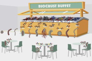 Biocrust Buffet Illustration_v4_6x4 (1)