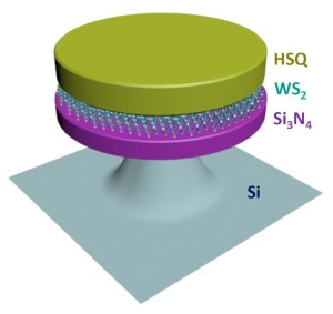 In this 2D excitonic laser, the sandwiching of a monolayer of tungsten disulfide between the two dielectric layers of a microdisk resonator creates the potential for ultralow-threshold lasing.