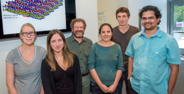 The Molecular Foundry scientists who helped discover a new nano design rule. From left, Ellen Robertson, Alessia Battigelli, Ron Zuckermann, Caroline Proulx, Stephen Whitelam, and Ranjan Mannige. (Credit: Roy Kaltschmidt)