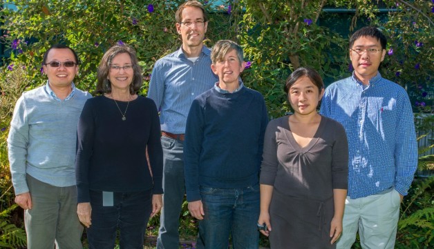 The Berkeley Lab team that conducted the research, from left to right: Jian-Hua Mao, Susan Celniker, Antoine Snijders, Sasha Langley, Yurong Huang, Michael Hang.