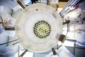 A view inside the LUX detector. (Photo by Matthew Kapust/Sanford Underground Research Facility) 