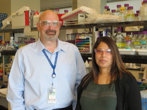 Blake Simmons and Seema Singh of the Joint BioEnergy Institute (JBEI) discovered a renewable ionic or “bionic” liquid made from lignin and hemicellulose that enabled a one-pot process for making cellulosic ethanol. (Photo by Roy Kaltschmidt)