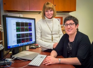 Priscilla Cooper (left) and Kelly Trego are among a team of scientists who discovered a new function for XPG.