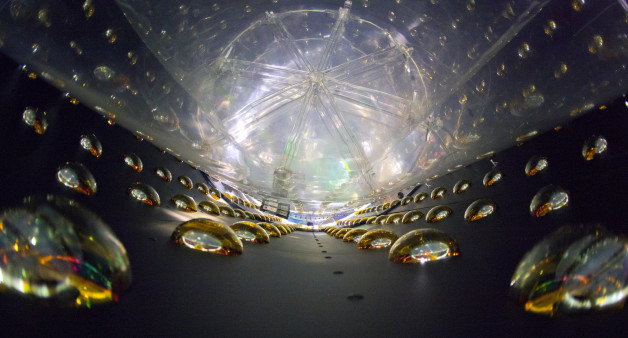 A view inside the particle detectors at Daya Bay, where photomultiplier tubes measure signals from antineutrinos. (Photo credit: Roy Kaltschmidt)