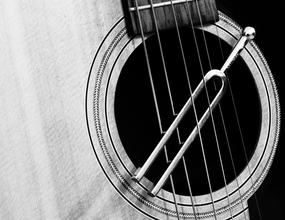 Photo - In this black-and-white photo, a tuning fork is slung from guitar strings.