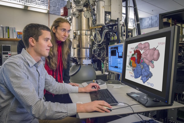 Eva Nogales and Robert Louder at electron microscope.