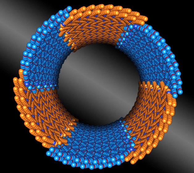 Precision meets nano-construction, as seen in this illustration. Berkeley Lab scientists discovered a peptoid composed of two chemically distinct blocks (shown in orange and blue) that assembles itself into nanotubes with uniform diameters. (Credit: Berkeley Lab)