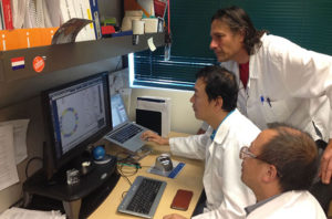Shown back to front, Berkeley Lab's Gary Karpen (standing), Weiguo Zhang and Jian-Hua Mao examine data on centromere and kinetochore genes. (Credit: Francesca Guagliardo/Berkeley Lab)