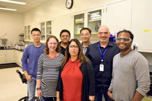 Researchers at JBEI are studying the use of CO2 to streamline the production of biofuel. From left, Feng Xu, Corinne Scown, Tanmoy Dutta, Seema Singh, Jian 'James' Sun, Blake Simmons and Murthy Konda. (Credit: Arthur H. Panganiban/JBEI at Berkeley Lab)