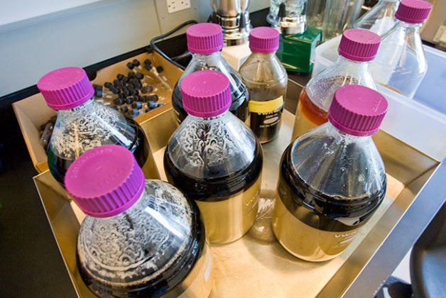 JBEI scientists have advanced the use of ionic liquids, shown here, to break down cellulosic biomass. The latest development involves the use of carbon dioxide to reversibly adjust the pH level of ionic liquids, greatly simplifying the biofuel production process and lowering cost. (Credit: Roy Kaltschmidt/Berkeley Lab)