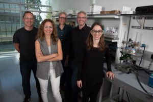Berkeley Lab scientists at DOE's Joint Center for Artificial Photosynthesis are working to improve systems that efficiently convert sunlight, water and carbon dioxide into fuel. Shown (left to right) are David Larson, Kristin Persson, Jeff Beeman, Ian Sharp, and Francesca Toma. 