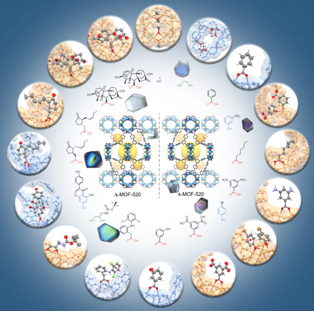 Illustration - This illustration shows the structure of 16 molecules that were studied while bound to metal-organic frameworks (MOFs) that exhibit chirality or handedness. The frameworks stabilized the molecules for study with X-rays. (Credit: S. Lee, E. Kapustin, O. Yaghi/Berkeley Lab and UC Berkeley)