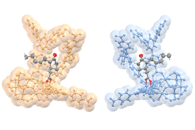 Illustration - Mirror, mirror: This rendering shows opposite configurations in the molecular structure of a plant hormone called jasmonate (gray and red) that are bound to nanostructures (gold and blue) called MOFs, or metal-organic frameworks. (Credit: S. Lee, E. Kapustin, O. Yaghi/Berkeley Lab and UC Berkeley)