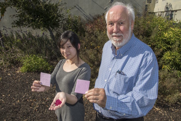 Berkeley Lab researchers Sharon Chen and Paul Berdahl hold up their prototype coating made from ruby powder and synthetic ruby crystals. (Credit: Marilyn Chung/Berkeley Lab)