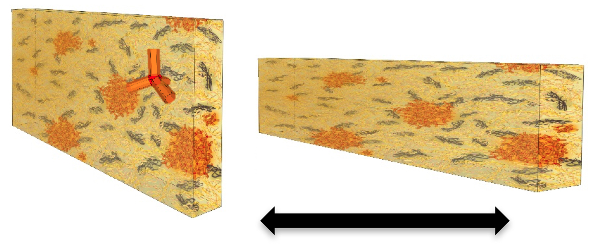 This schematic shows a tetrapod-polymer film before and after it is stretched length-wise. The orange areas are clusters of tetrapods. The scientists found the tetrapods' emitted light color changed when the polymer was stretched. (Credit: Berkeley Lab)